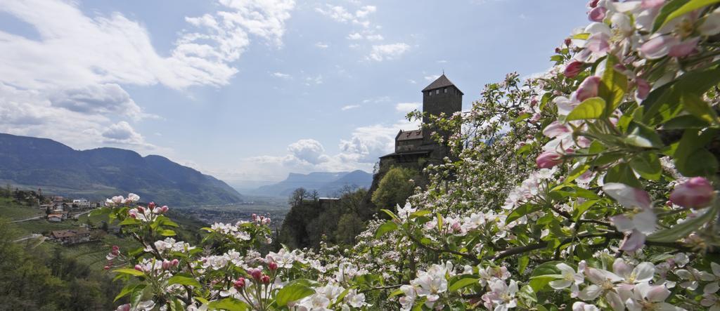 Hotel Zum Tiroler Adler Luaran gambar